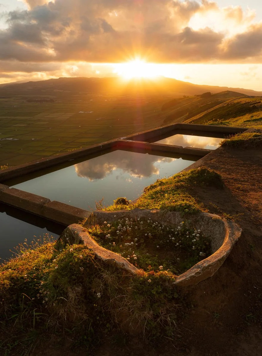 A scenic view of the sunset over rolling green hills, with two rectangular water tanks reflecting the sky and clouds, and a circular stone planter filled with white flowers and greenery in the foreground.