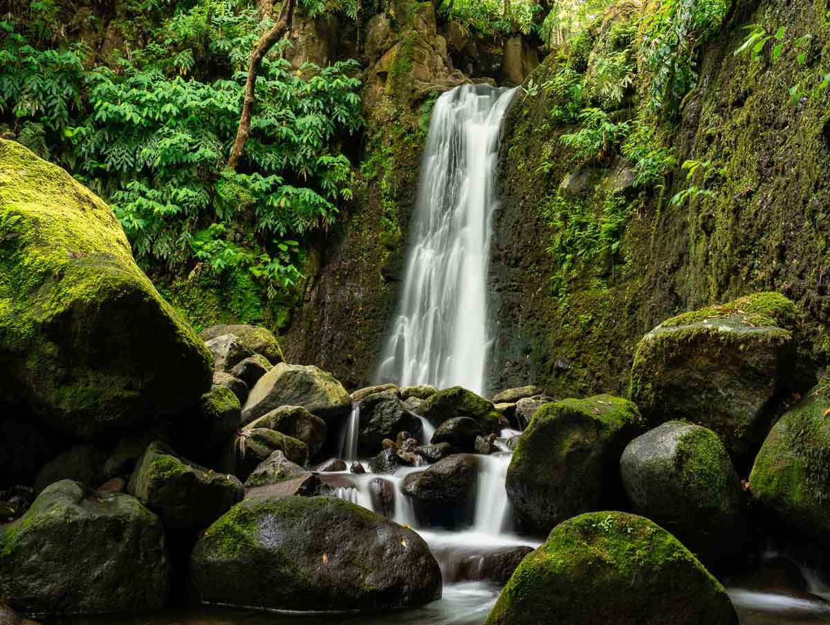 Waterfall cascading down moss-covered rocks in a lush green forest.