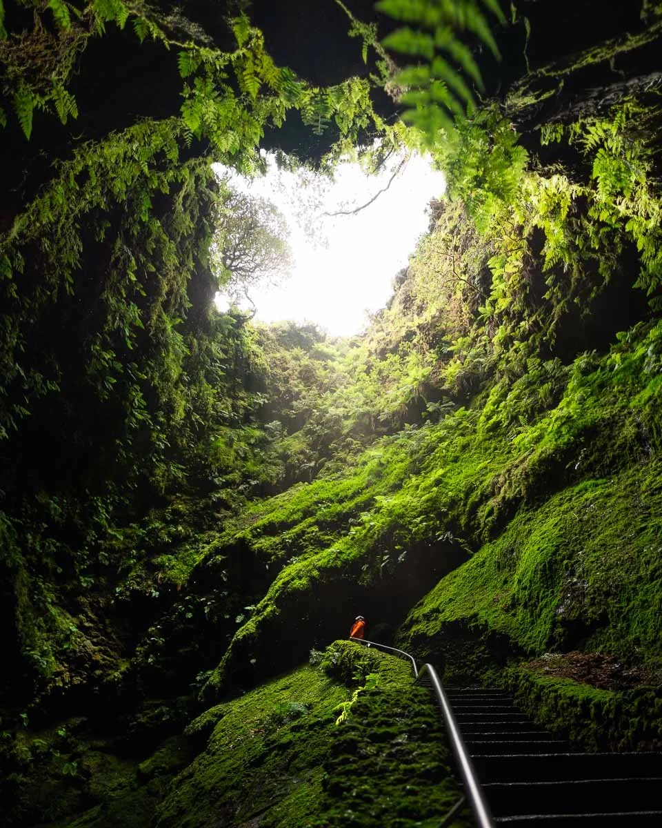 A person in an orange jacket climbing moss-covered stairs inside a green, lush cave with light shining through the opening at the top.