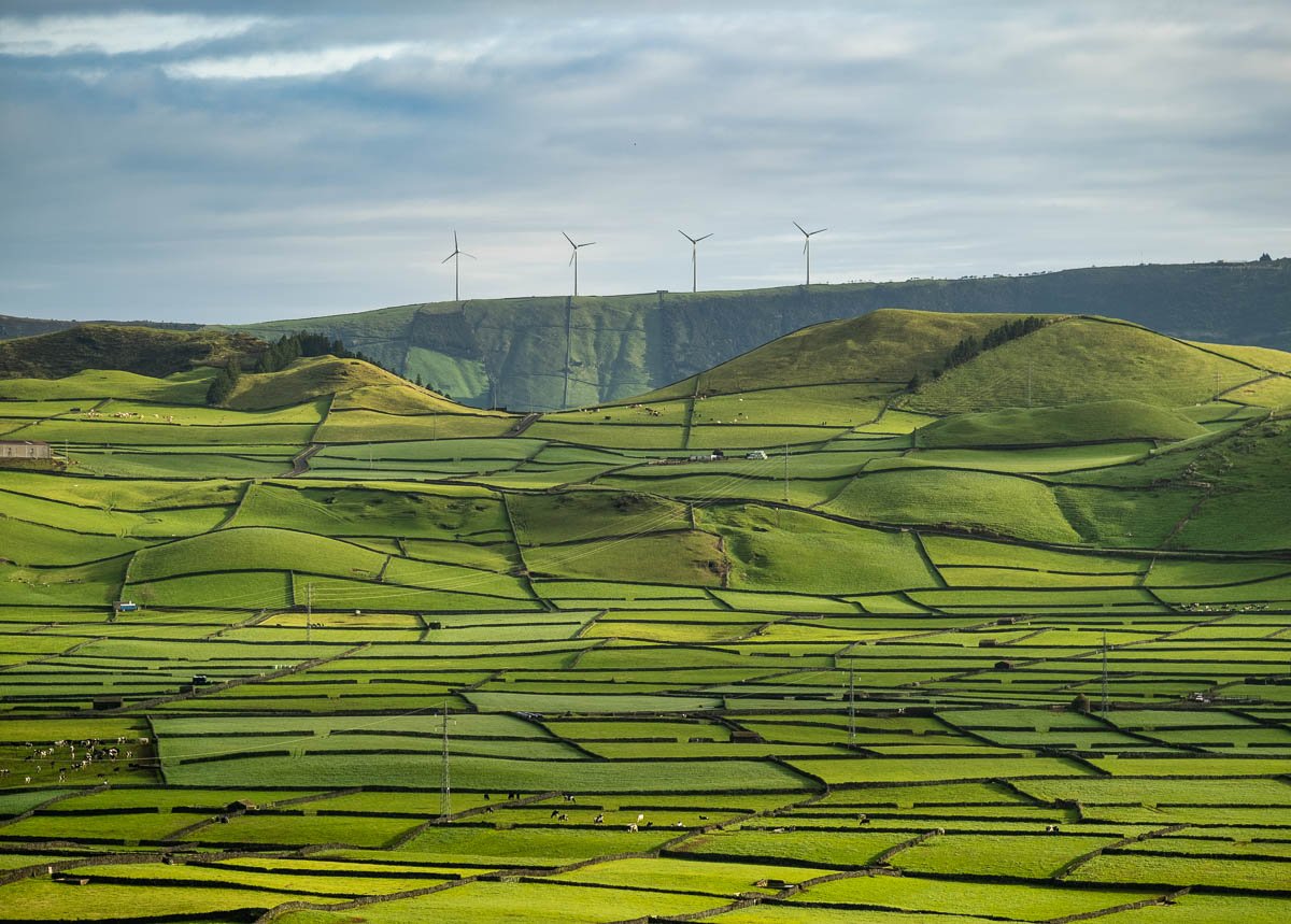 Lush green terraced fields covering rolling hills under a cloudy sky, with wind turbines on distant mountains.