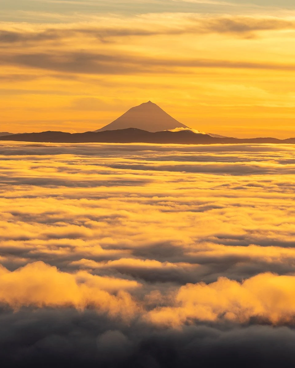 A view of Mount Fuji rising above a sea of clouds during sunset with a golden-orange sky.