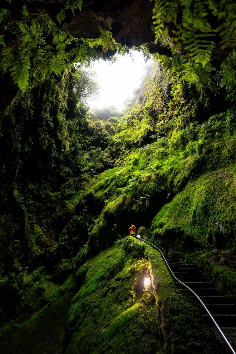 Inside a lush, green cave with moss-covered walls and stairs, sunlight shines through the opening at the top, illuminating the vibrant foliage, and a person is seen exploring the cave with safety equipment.