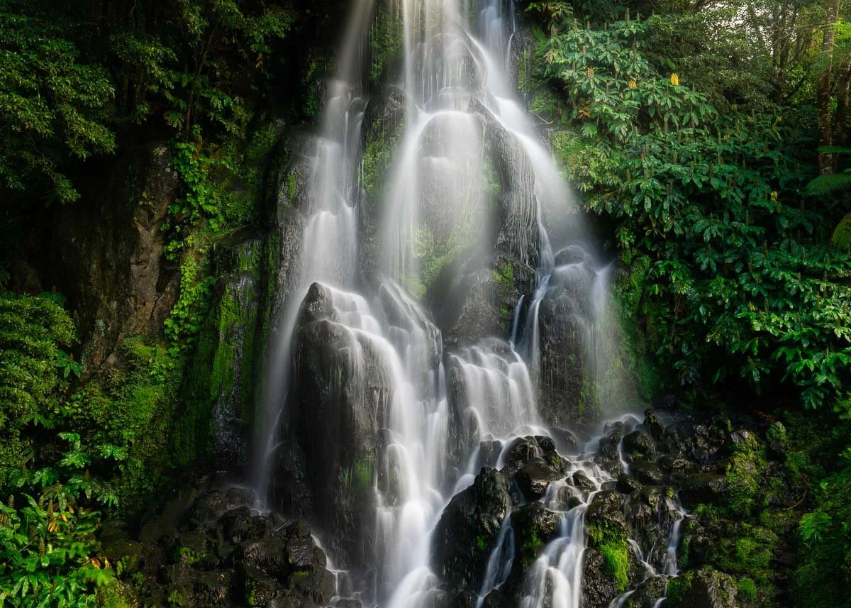 Waterfall cascading down rocks in a lush green forest.