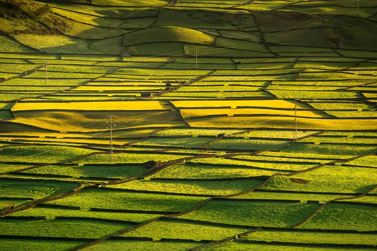Aerial view of green and yellow agricultural fields divided by narrow dirt paths and surrounded by hills.