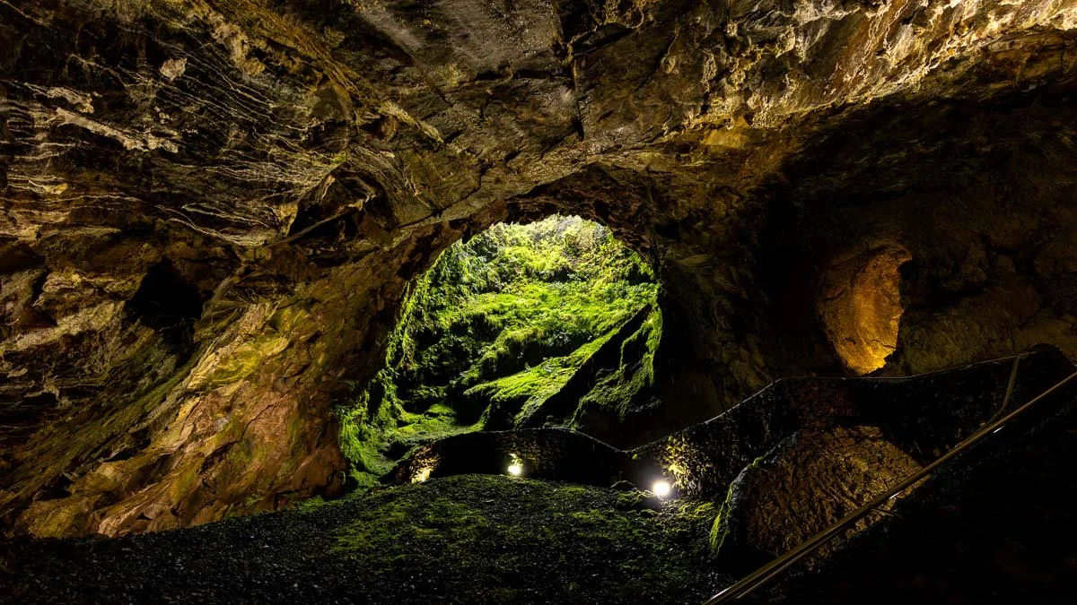 View from inside a moss-covered cave opening with greenery outside and a metal handrail along the path inside.