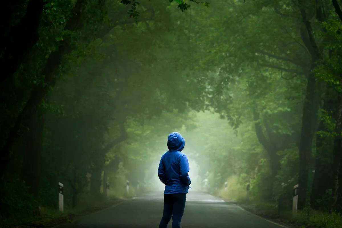 A person wearing a blue jacket walking on a misty forest road surrounded by green trees.
