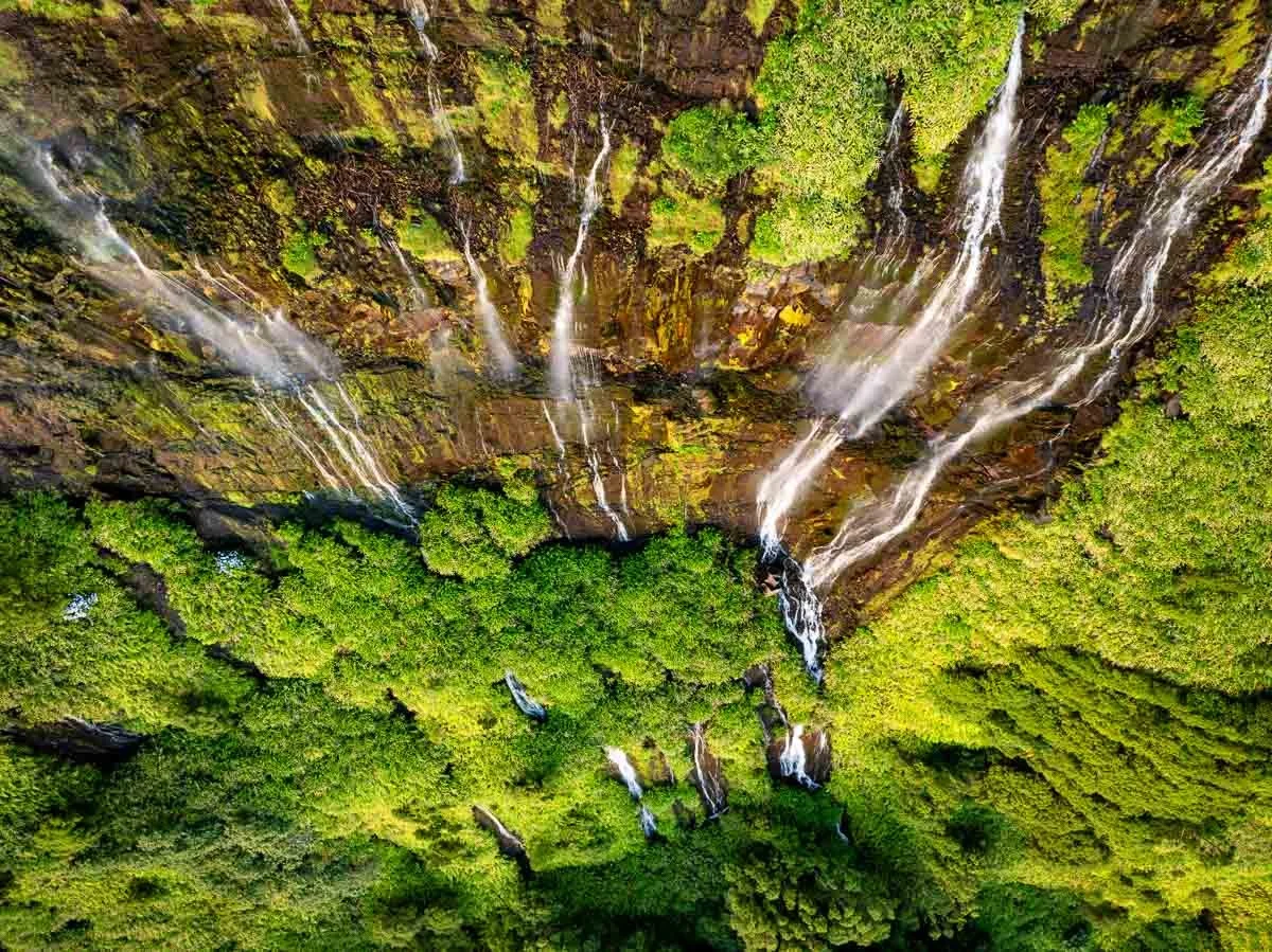 An aerial view of a lush green forest with multiple thin waterfalls cascading down a rocky cliff.