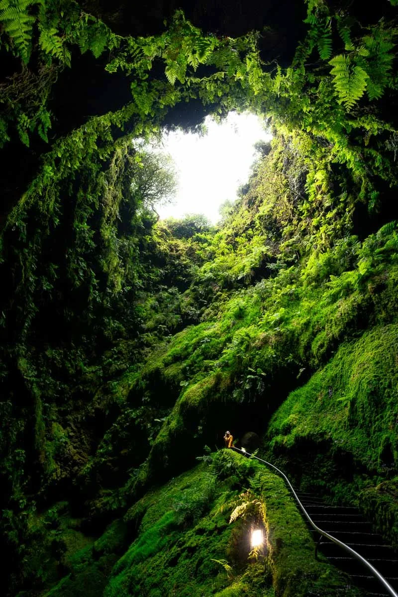 View from inside a lush, green moss-covered cave looking outward towards the bright light outside, with a person standing on the mossy surface with a hose.
