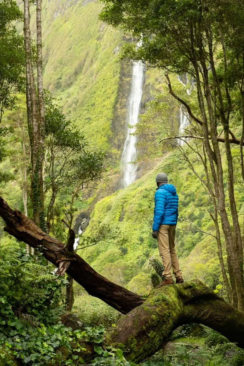 A person in a blue jacket and gray beanie standing on a moss-covered tree branch in a green forest, looking at a waterfall in the distance.