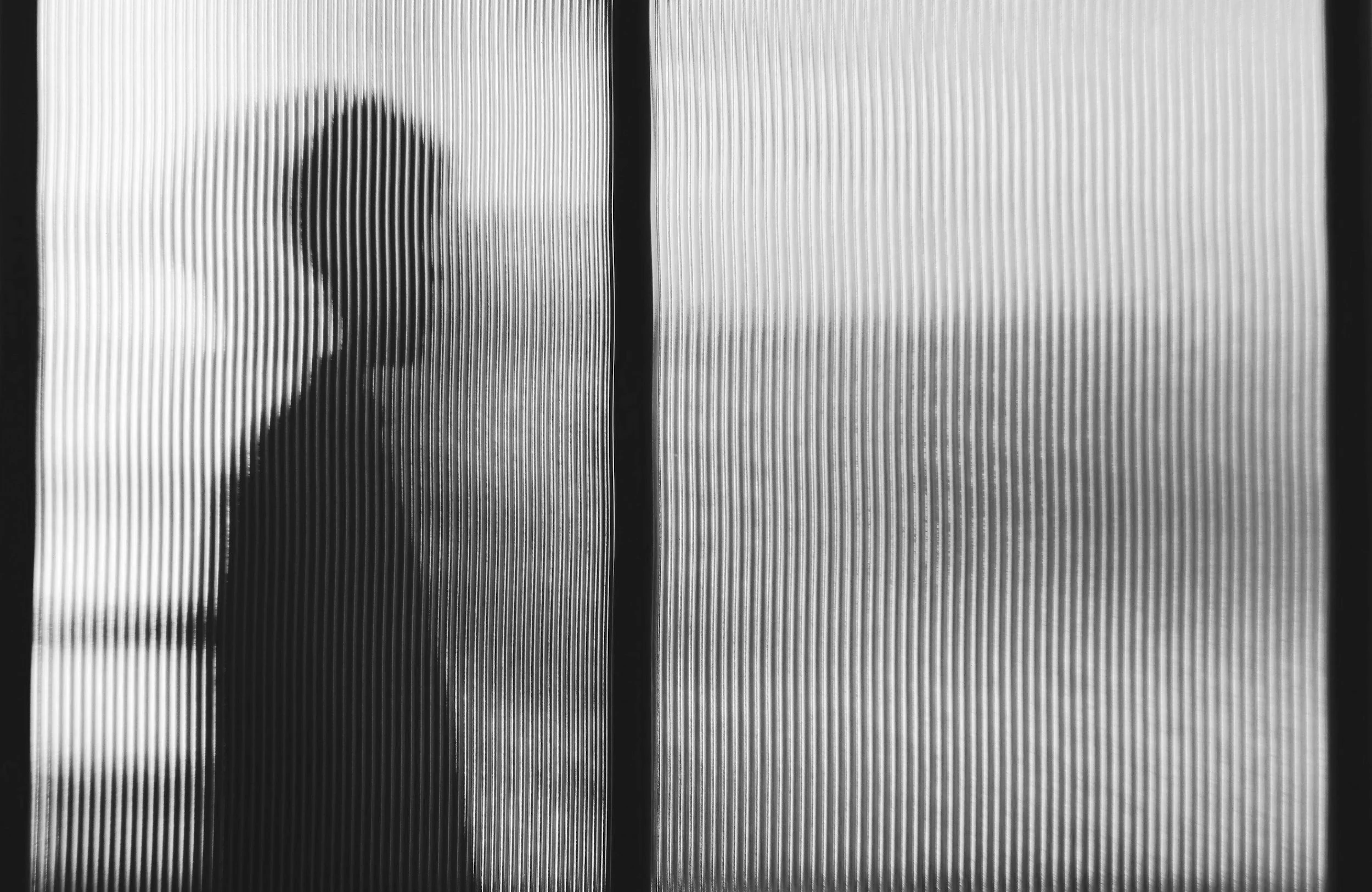 Silhouette of a person behind a textured, semi-transparent screen.