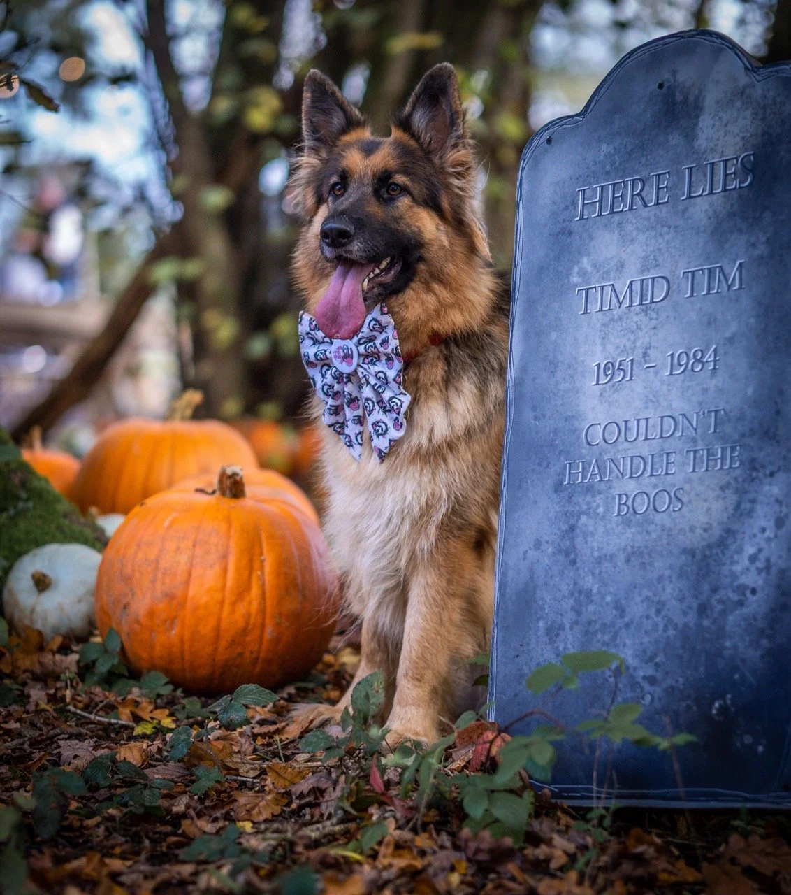 image00003 Large.jpeg