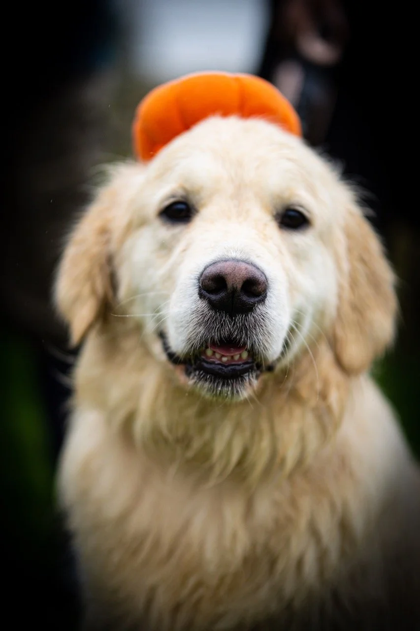 image00007 Large.jpeg