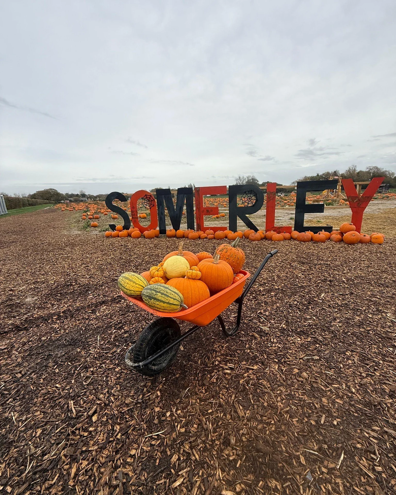 🎃 Fill Your Barrow for &pound;20! 🍂

We&rsquo;ve had a bumper year growing pumpkins for the very first time - they must really love our fields! The patch is absolutely bursting and we don&rsquo;t want any to go to waste, so we&rsquo;re now offering