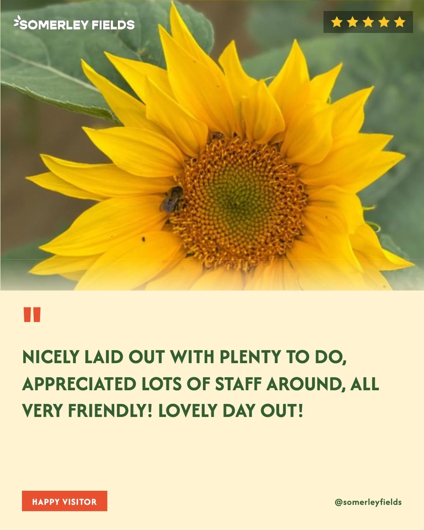 Our team works SO hard to make every visit to the Fields special - so words like this mean the world to us 🧡

Come and see for yourself this July! We promise you won&rsquo;t be disappointed.

Tickets live very soon 🌻

#SomerleyFields #PYOSunflowers