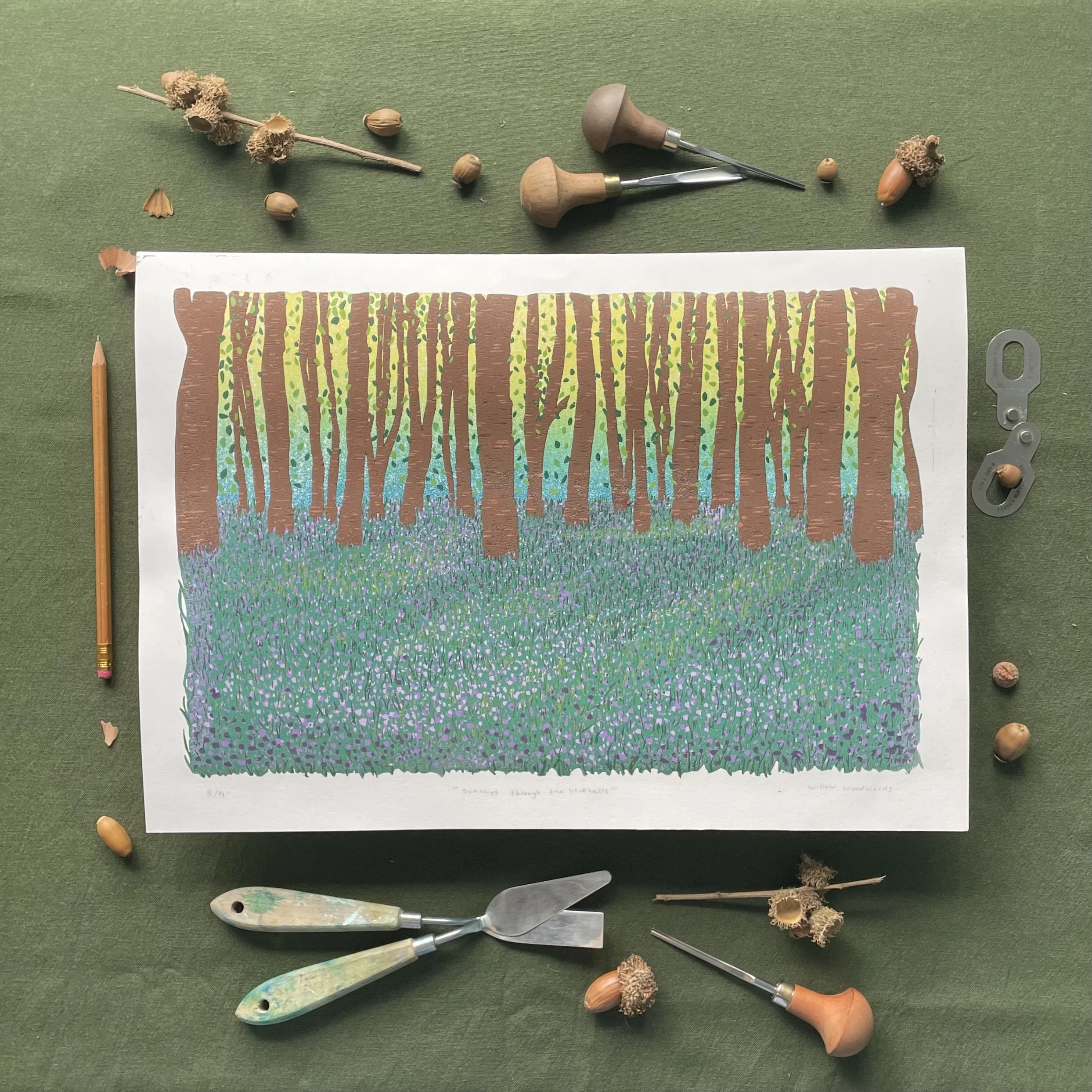 Sunrise Through The Bluebells