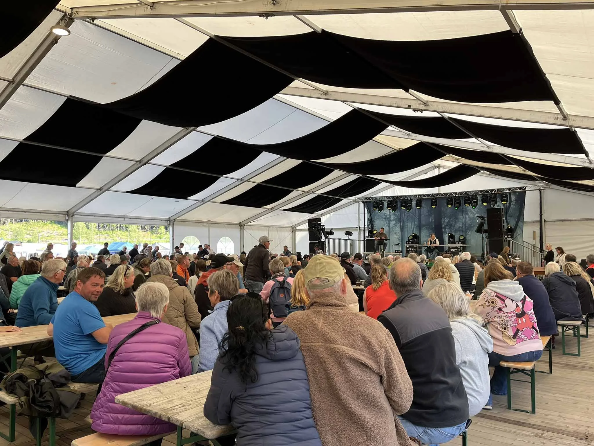 Publikum og scene auksjon.jpg