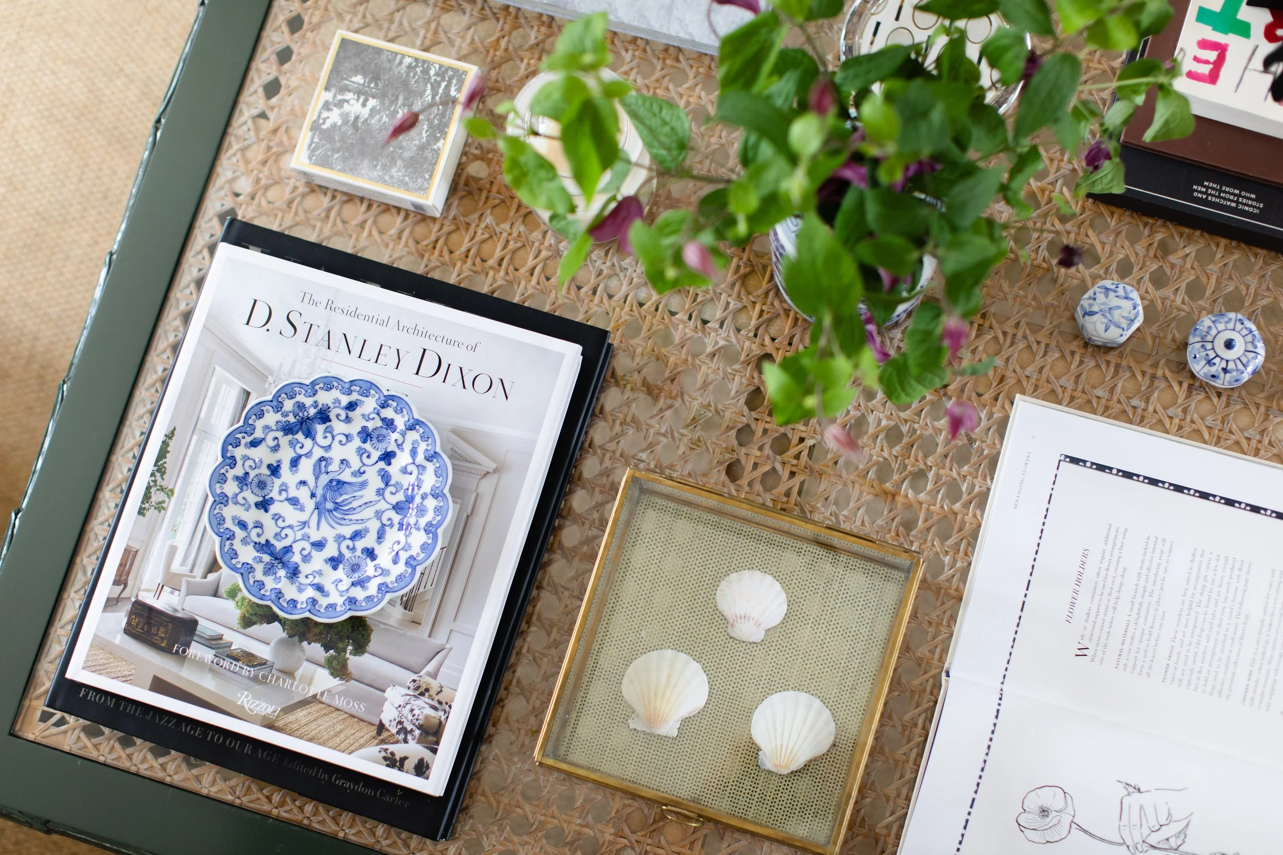 Living Room Coffee Table Shells.jpeg