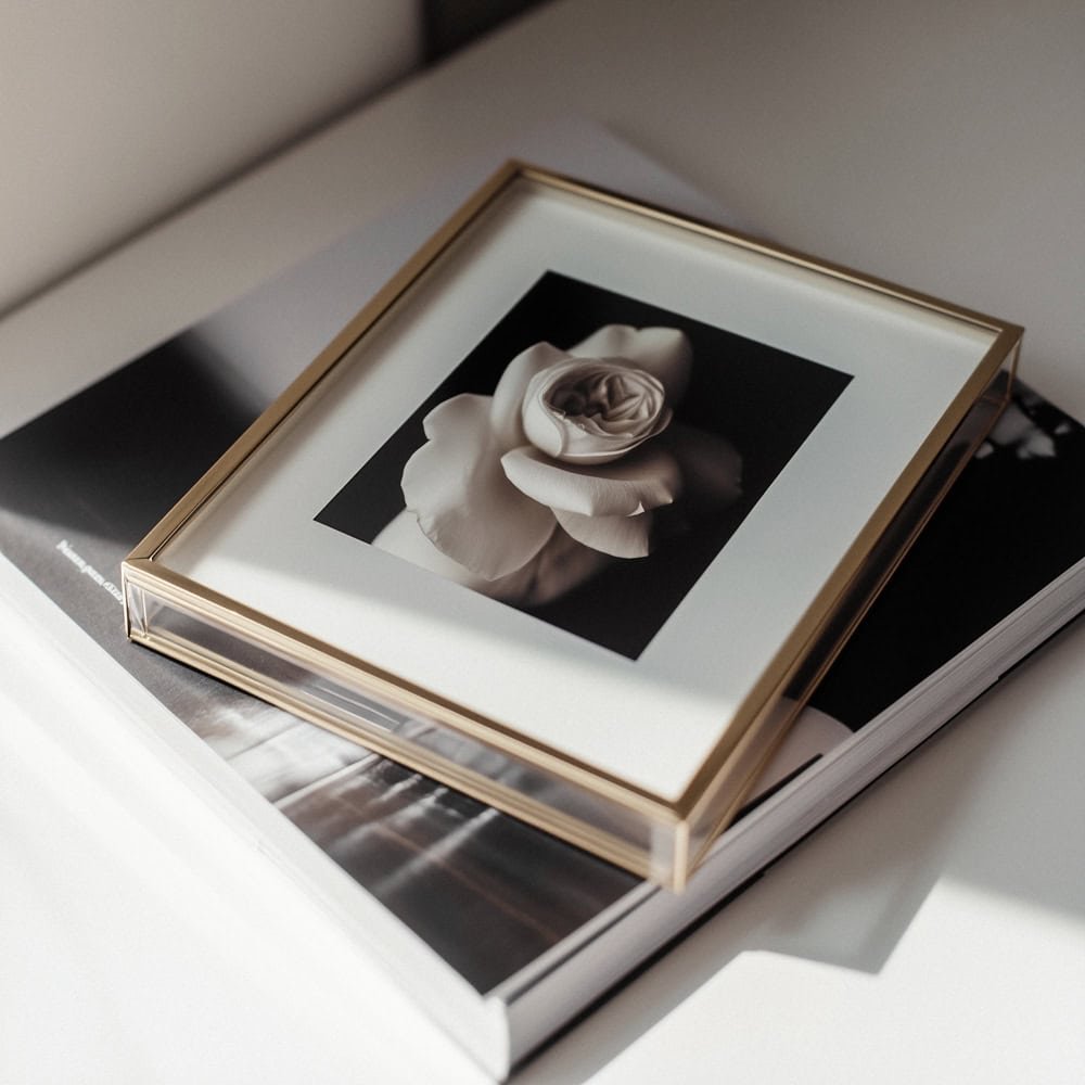 impression fine art portrait strasbourg