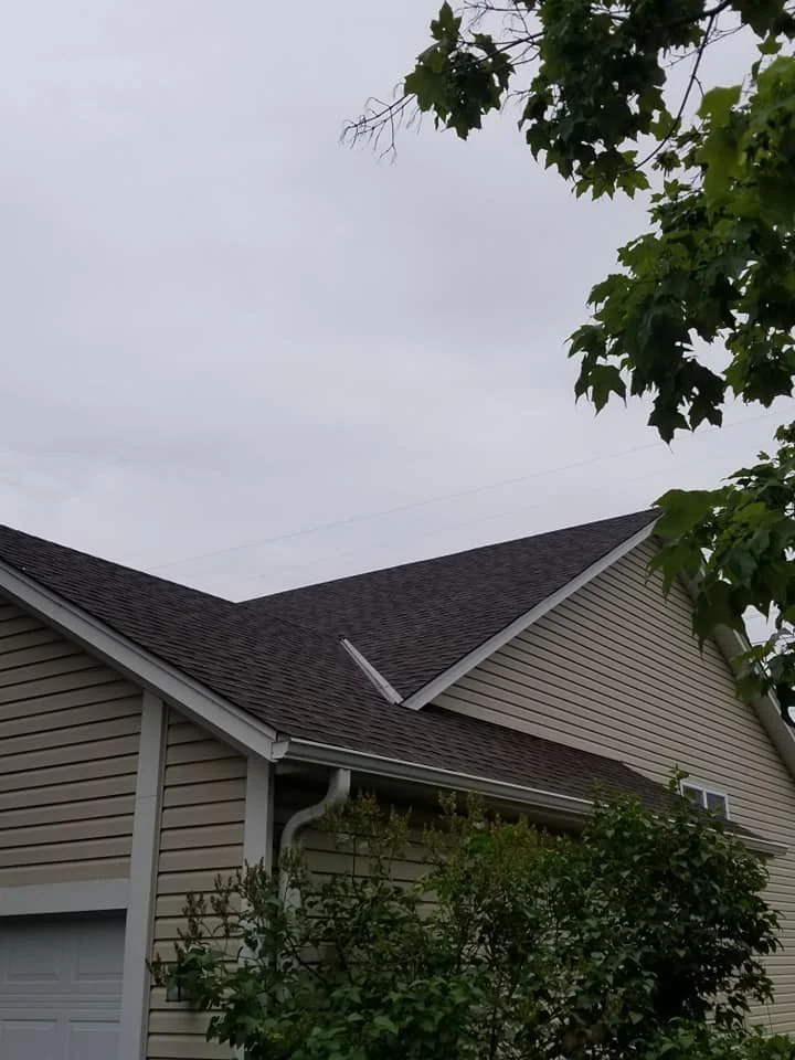 A house with beige siding, a brown shingled roof, and surrounding green trees and bushes. An overcast sky is visible above.