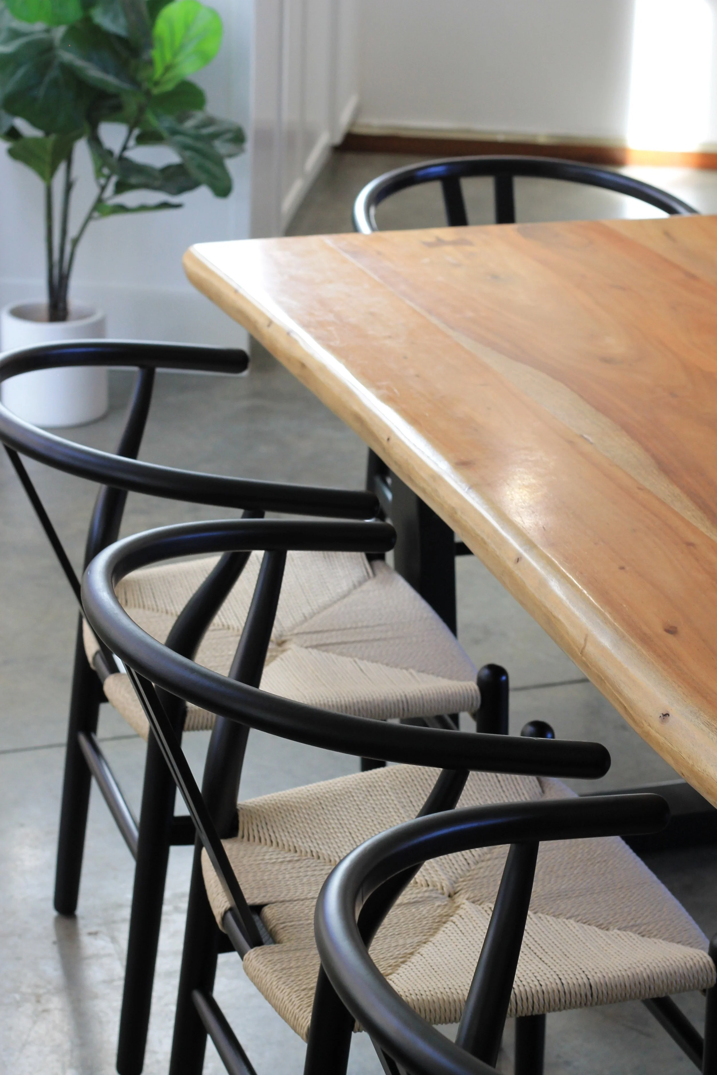 A wooden table with black dining chairs with woven seats around it, a potted plant with large green leaves in the background, and natural light streaming in from a window.
