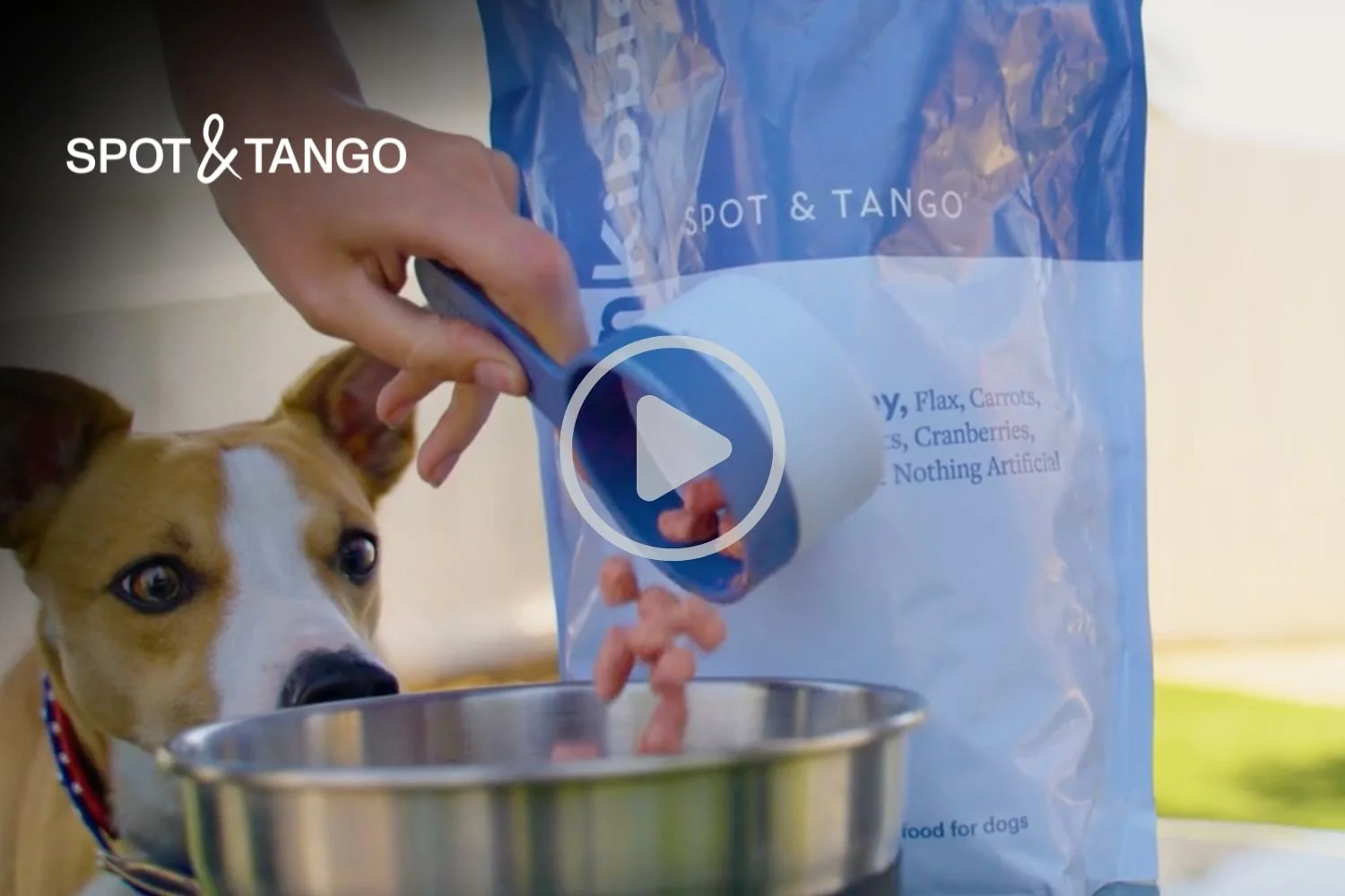 Untitled design - 2026-03-25T095501.604.jpg