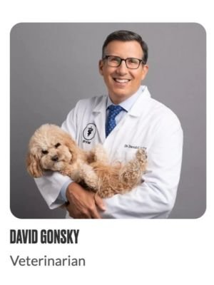 A smiling veterinarian wearing a white lab coat, holding a small curly-haired dog against a gray background.