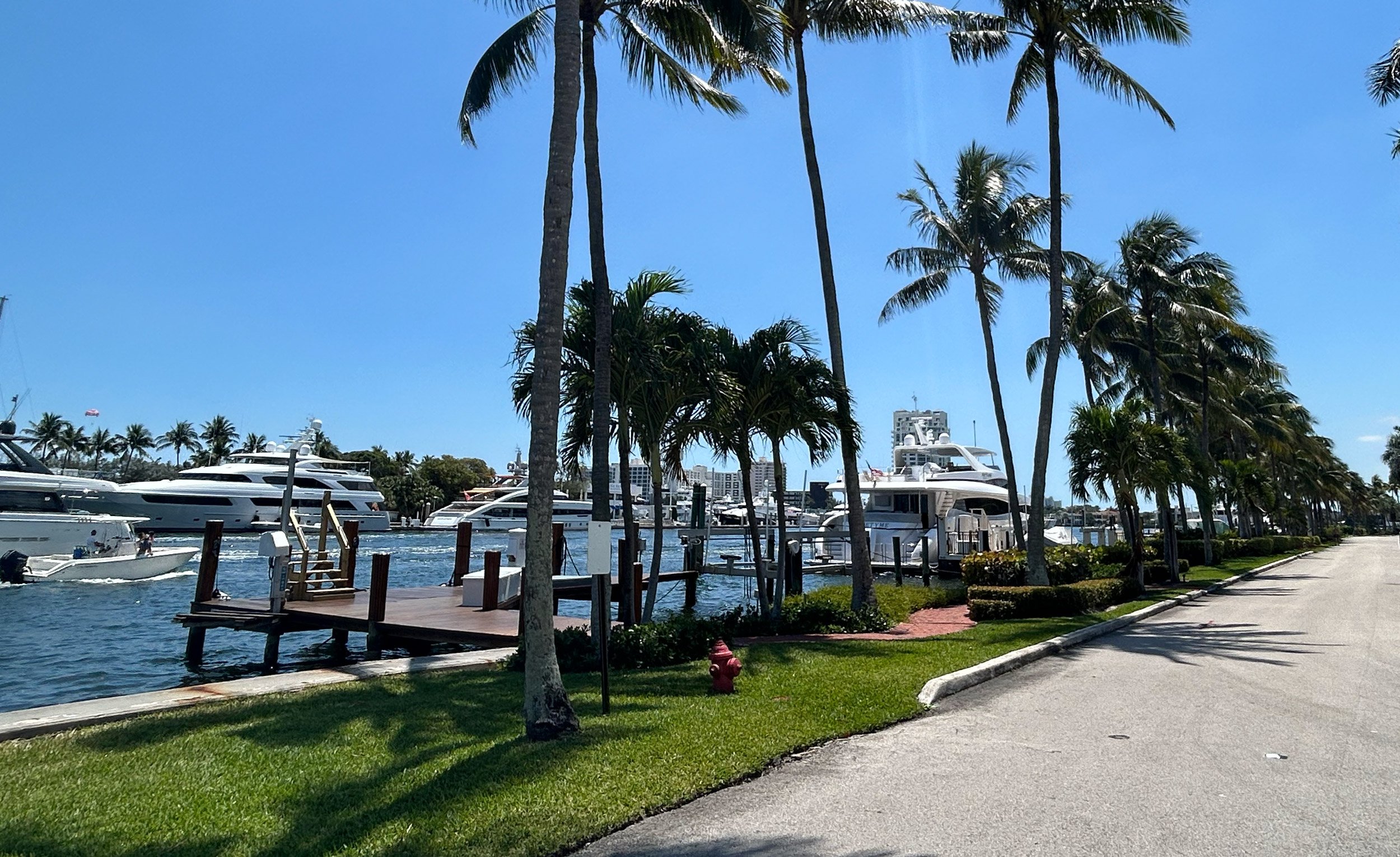 Yachts docked in a marina with palm trees lining the walkway under a clear blue sky.