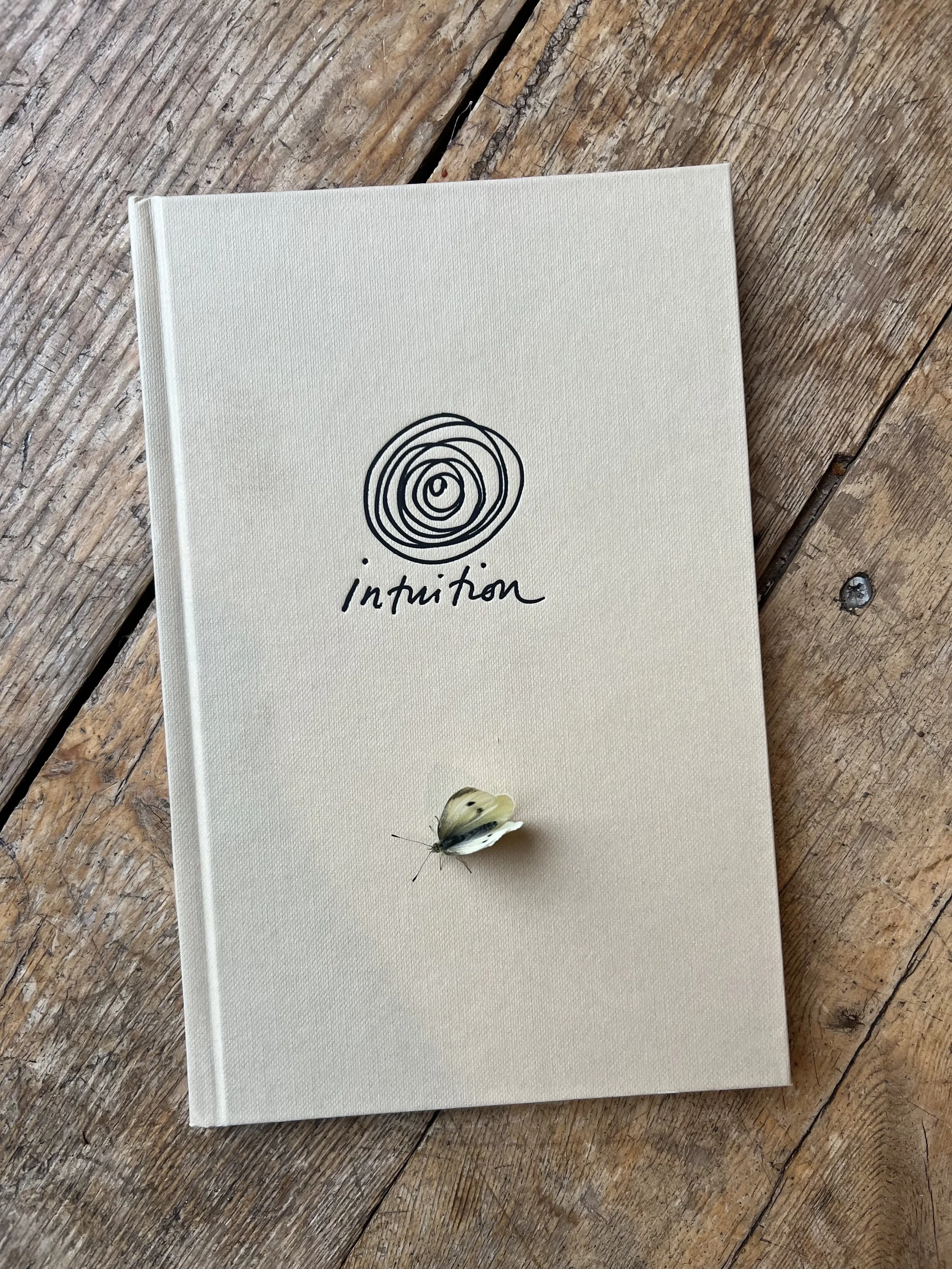 intuition by Lily Ashley