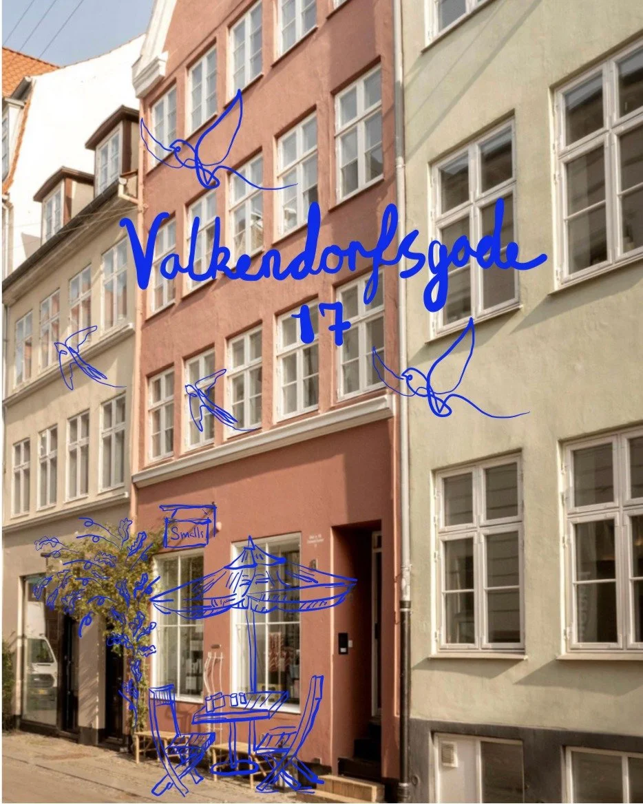 A street view with colorful old-style buildings in shades of beige, pink, and light green. There are multiple windows, a small outdoor seating area with a table, chairs, an umbrella, and a sign that says "Small". Overlayed are blue sketch drawings of birds flying and a city name "Valkendorfsgade 17".