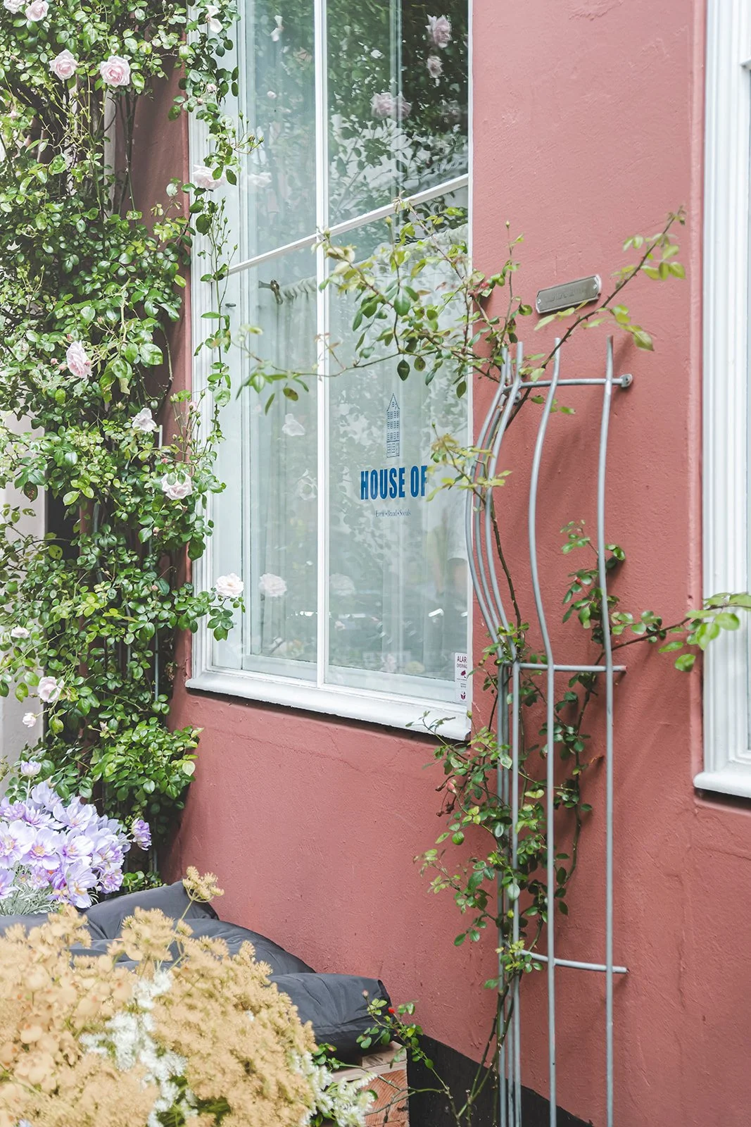 Close-up of a pink stucco house wall with a window surrounded by pink and green flowering plants. A metal plant support with climbing greenery is in front of the window. The window has a sticker that says 'HOUSE OF' with a building illustration. There are various flowering plants at the bottom left corner.