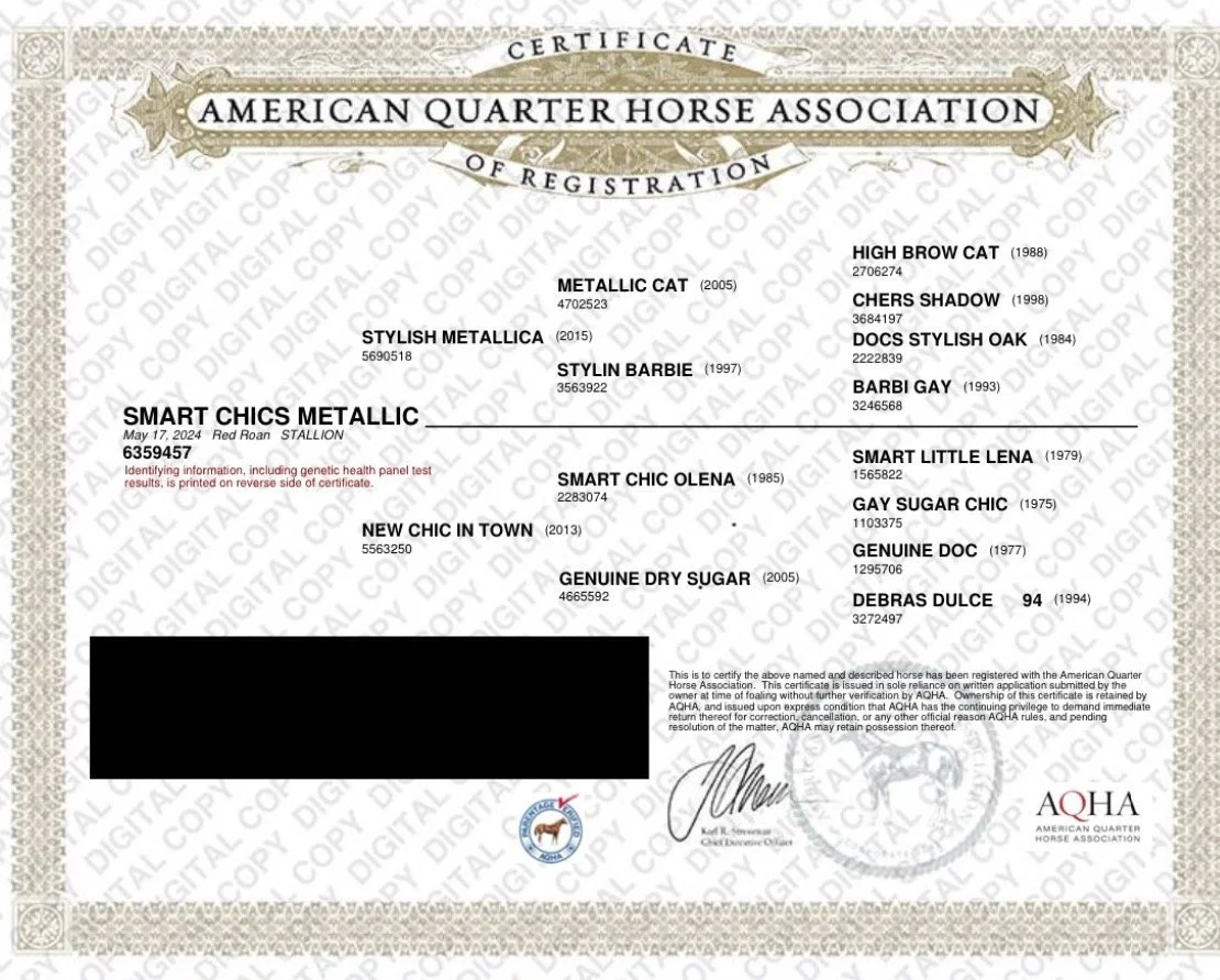 Smart Chics Metallic