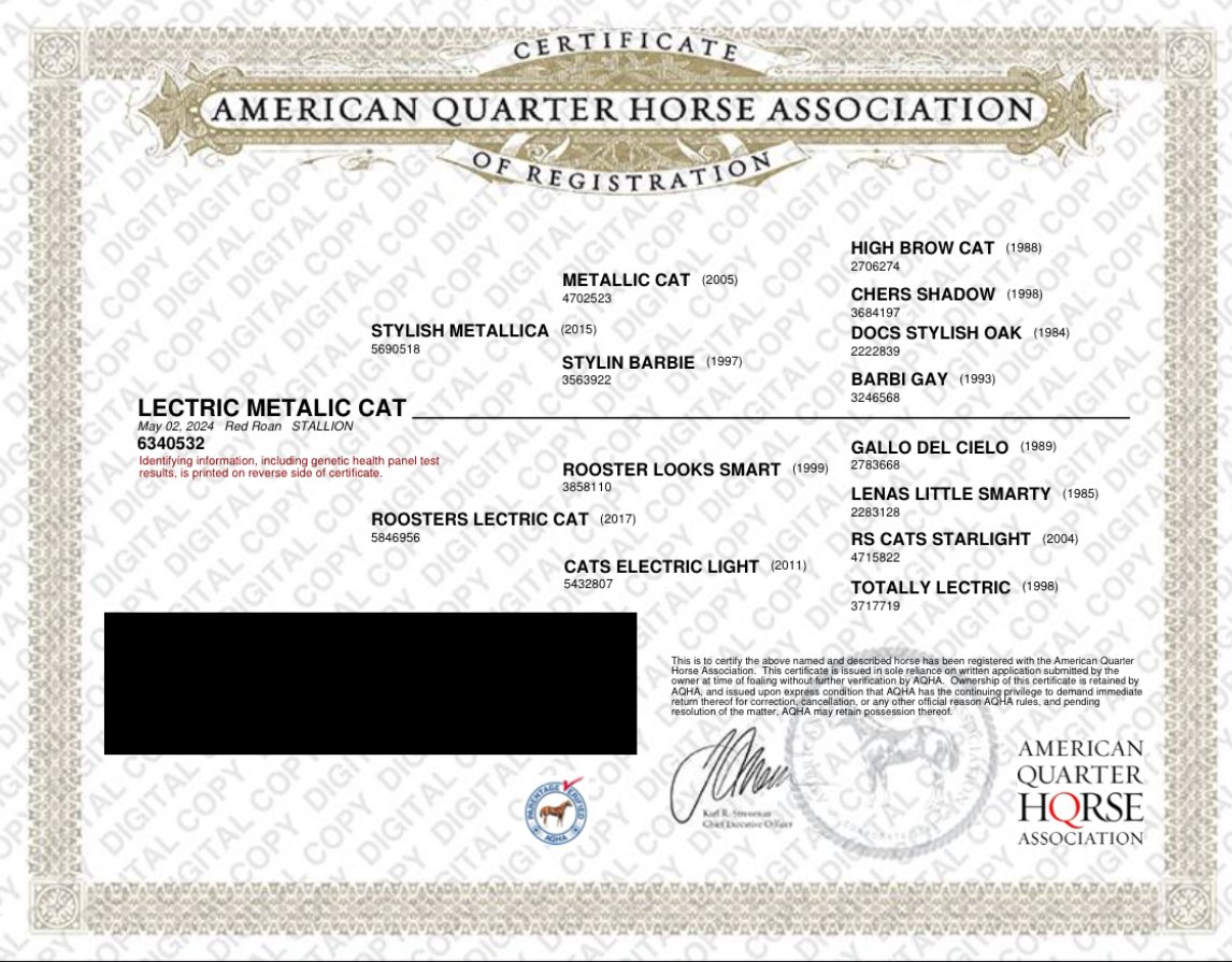 American Quarter Horse Association certificate of registration for a horse named Lectric Metalic Cat, showing lineage and breed information.