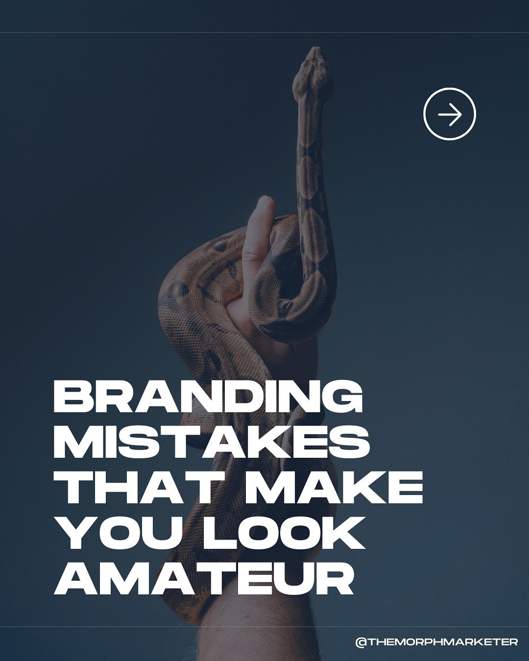 You could have the most beautiful animal on MorphMarket &mdash; but if your brand presence feels messy, people scroll right past. 
The good news? These are all easy fixes &mdash; and you don&rsquo;t need a marketing degree or design background to mak