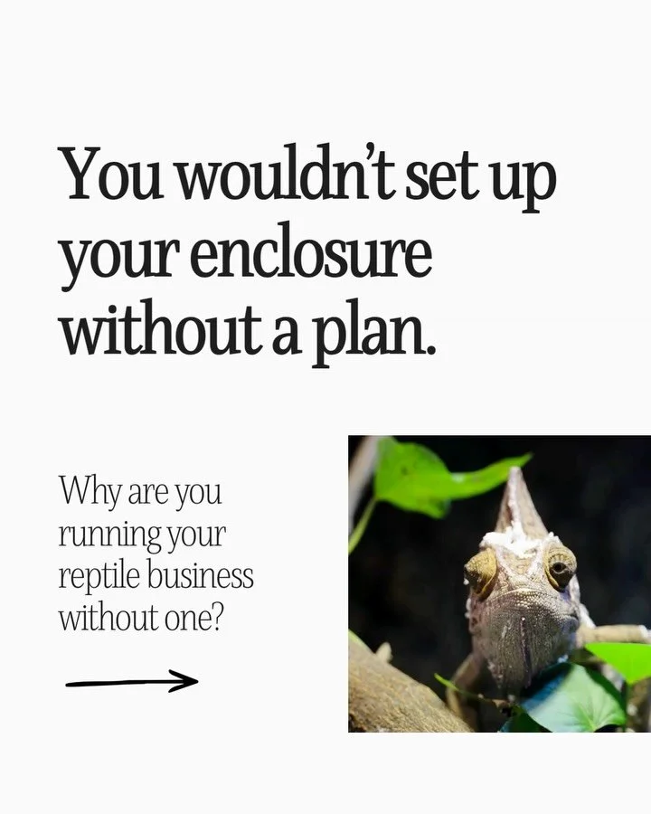 The reptile community is full of incredible keepers who build incredible businesses &mdash; and then hit a wall. Usually the wall isn&rsquo;t content. It&rsquo;s clarity. Swipe to see what I mean.