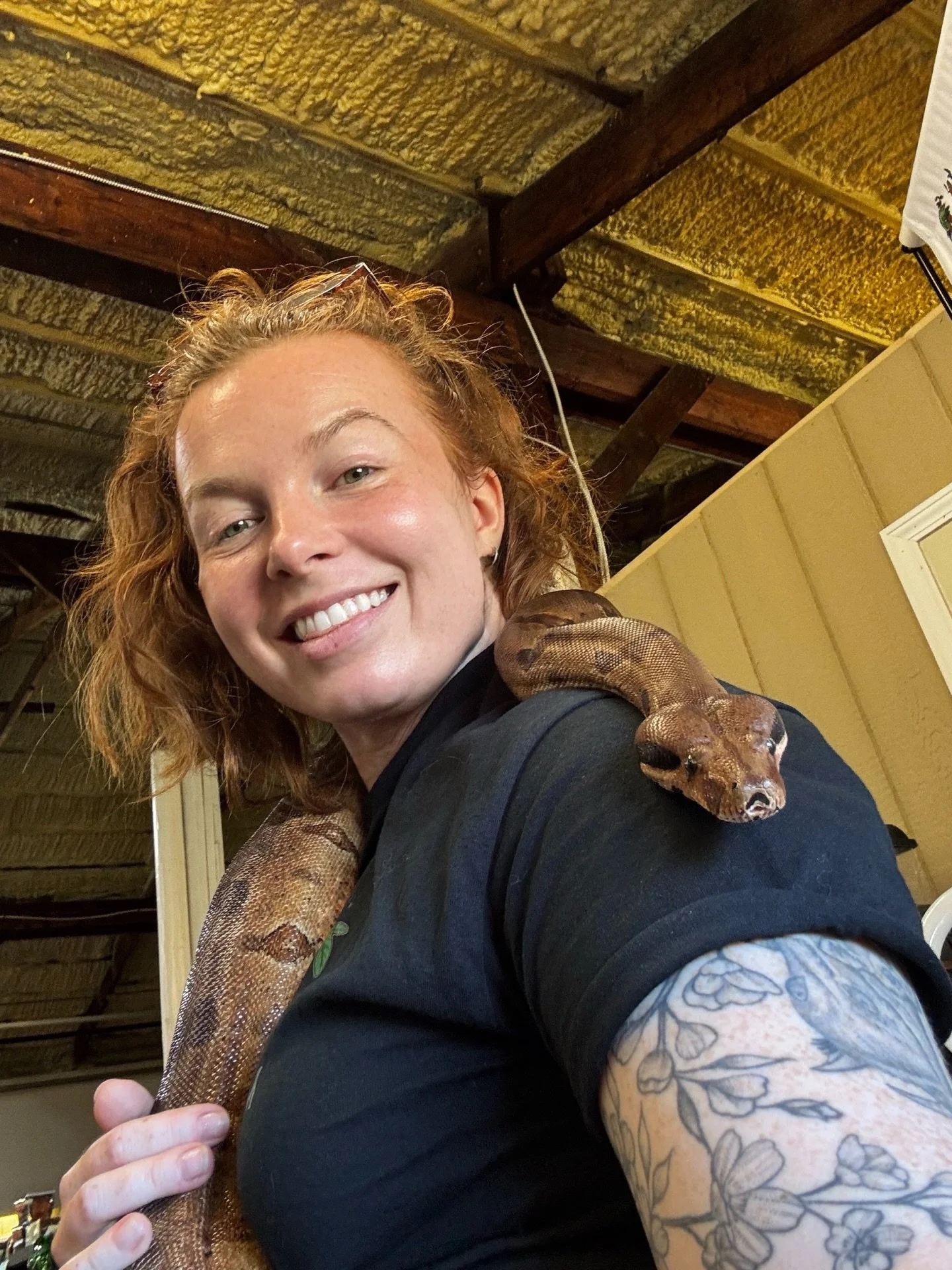 Today: reptile expo + @magnum.exotics + my heart &hearts;️🐍

This rescue does incredible work, and they&rsquo;re always looking for passionate volunteers. My time in Virginia is almost up, so if you&rsquo;re local, step up! This community is one of 