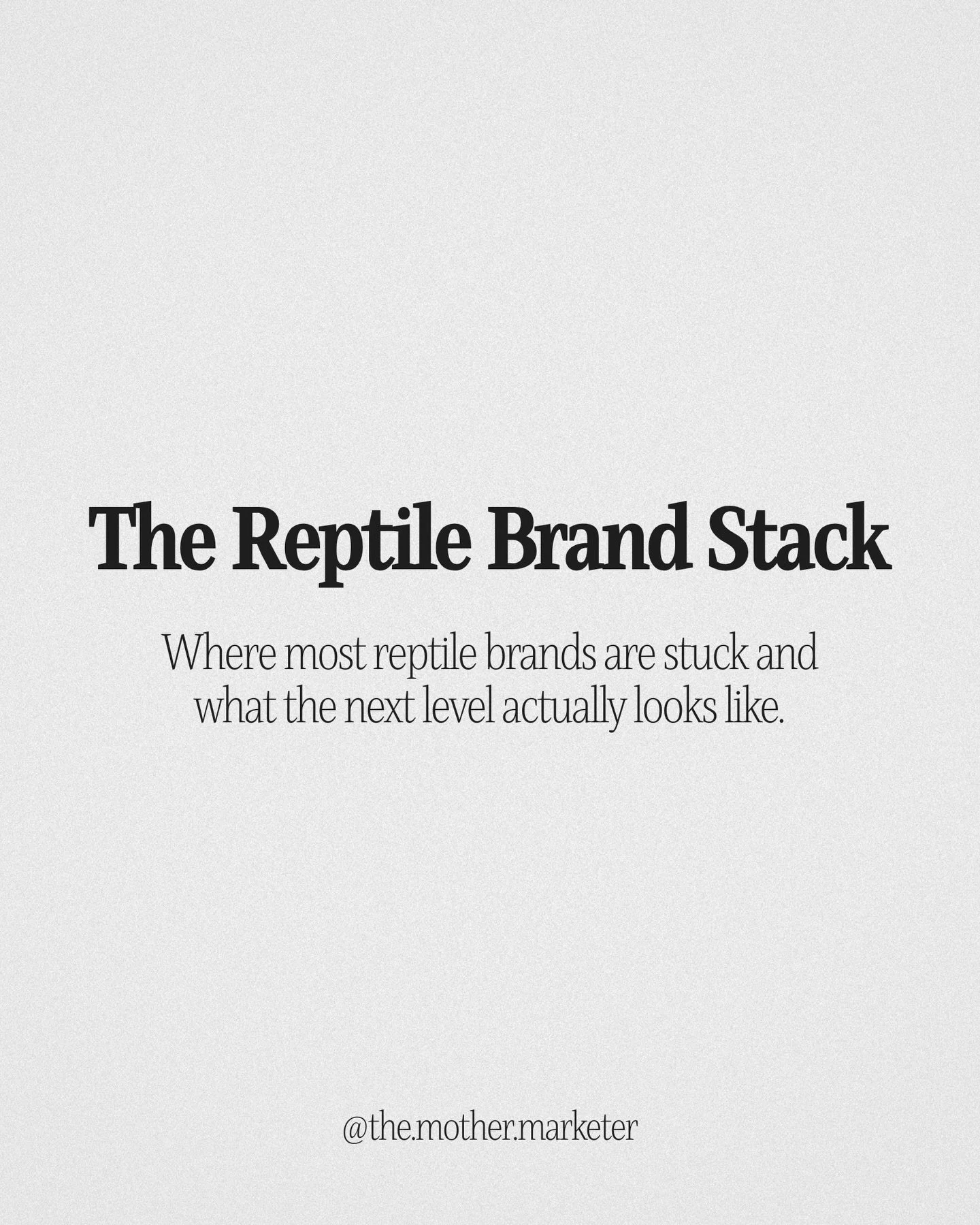 Comment &ldquo;STACK&rdquo; and I&rsquo;ll send you a 12-question audit that tells you where your reptile brand sits on the maturity curve. 
I&rsquo;ve spent months looking at reptile brands&rsquo; online presence through a marketing lens. The same f