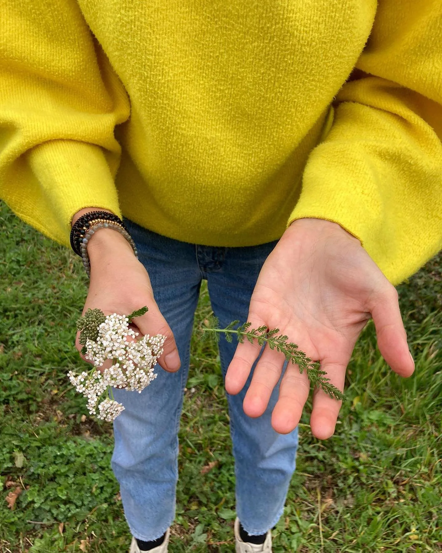 Personne tenant des plantes dans ses mains, vêtue d'un pull jaune et d'un jean, sur fond de pelouse verte.