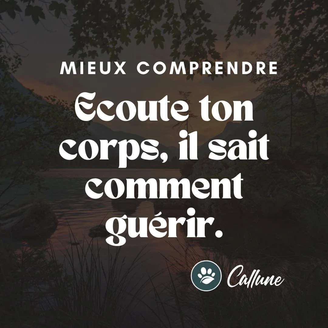 🌿 Mieux comprendre : &eacute;coute ton corps, il sait comment gu&eacute;rir.

Alors non, ce post n&rsquo;est pas reli&eacute; &agrave; des conseils &eacute;sot&eacute;riques o&ugrave; tu dois rentrer en communication avec ton corps via des m&eacute;