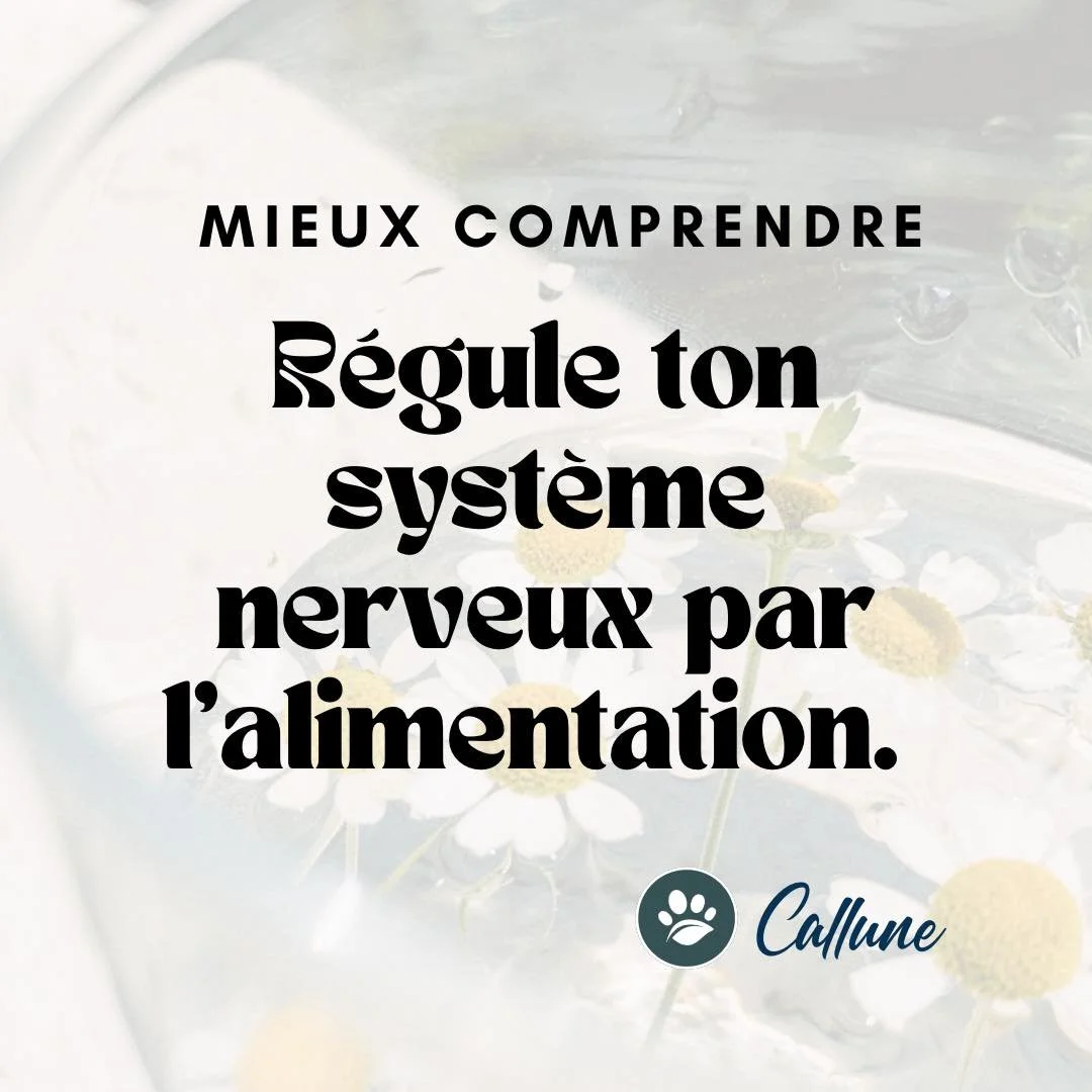 🌿 Mieux comprendre : r&eacute;gule ton syst&egrave;me nerveux par l&rsquo;alimentation.

Et si tu arr&ecirc;tais de croire que ton patron hautain est la seule raison de tes angoisses ?

Et si tu arr&ecirc;tais de croire que des m&eacute;ditations &a