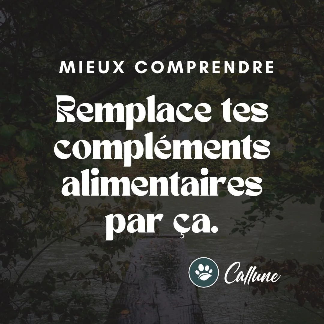 🌿 Mieux comprendre : remplace tes compl&eacute;ments alimentaires par &ccedil;a.

On nous a souvent dit de remplacer nos anti inflammatoires, somnif&egrave;res et autres m&eacute;dicaments chimiques par des compl&eacute;ments alimentaires naturels p