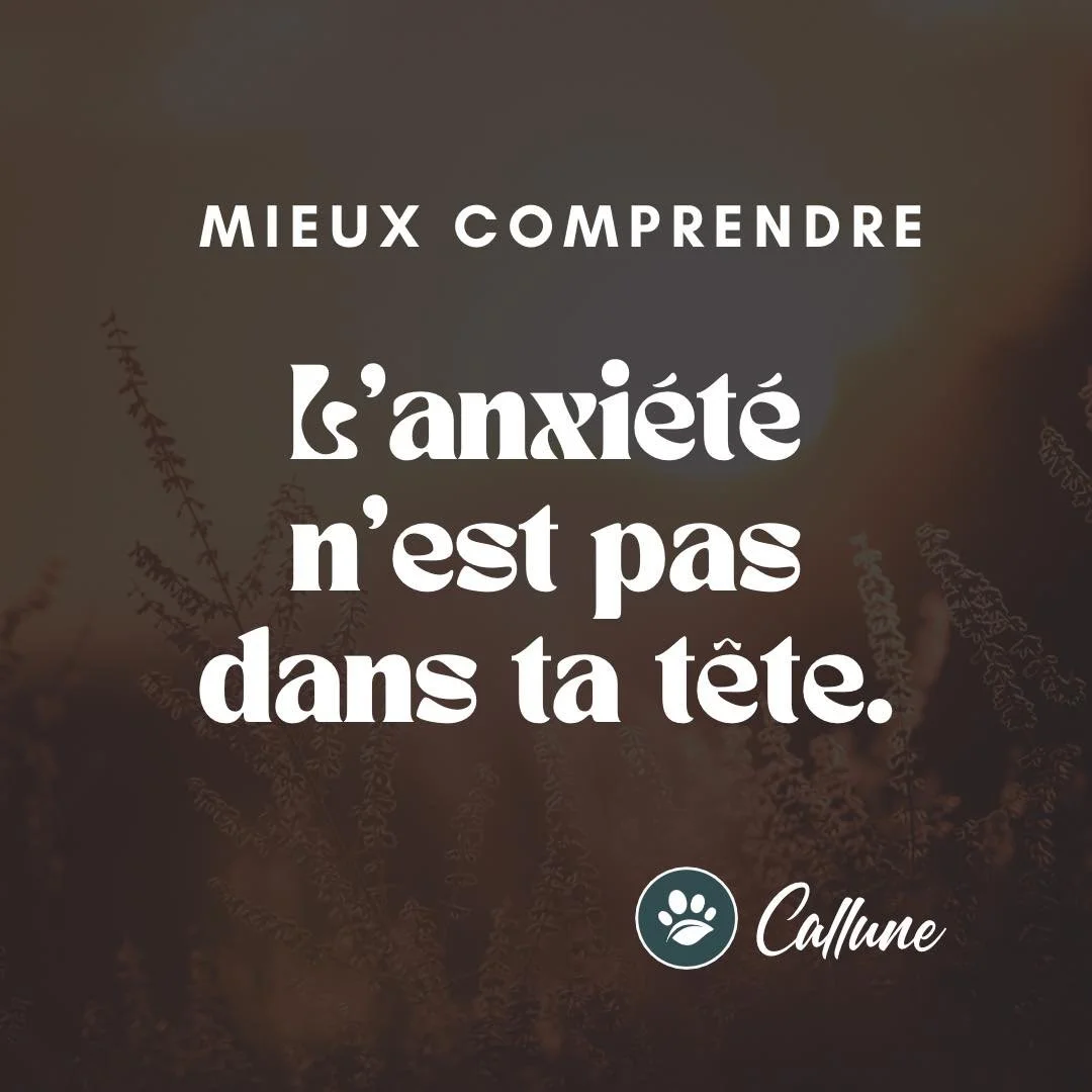 🌿 Mieux comprendre : l&rsquo;anxi&eacute;t&eacute; n&rsquo;est pas dans ta t&ecirc;te.

On pense, &agrave; tort, qu&rsquo;il ne faut plus jamais vivre de stress pour &ecirc;tre en pleine sant&eacute;.

Mais le stress fait partie int&eacute;grante de