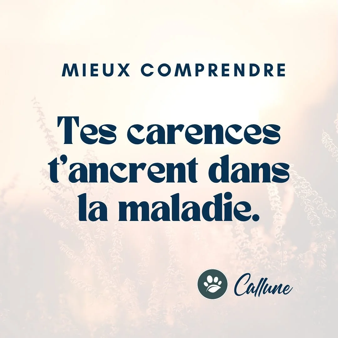 🌿 Mieux comprendre : tes carences t&rsquo;ancrent dans la maladie.

Et quand je dis maladie, je sous entends &eacute;galement les d&eacute;r&egrave;glements du syst&egrave;me nerveux et la continuit&eacute; vicieuse qui s&rsquo;installe au fur et &a
