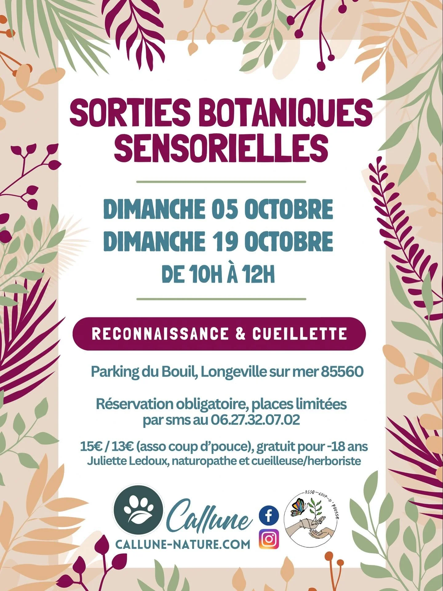 🌳 Derni&egrave;res sorties botaniques sensorielles de l&rsquo;ann&eacute;e 2025. Et toujours gratuit pour les mineurs.

L&rsquo;automne &eacute;tant consid&eacute;r&eacute; comme le deuxi&egrave;me printemps en botanique, les plantes sauvages nous f