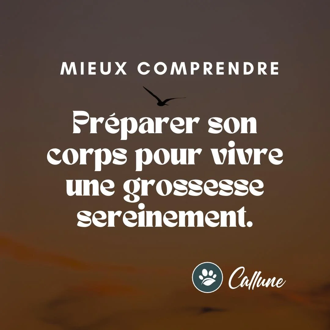 🌿 Mieux comprendre : pr&eacute;parer son corps pour vivre une grossesse sereinement.

Cr&eacute;er, porter, donner la vie.
Des &eacute;tapes cens&eacute;es &ecirc;tre si simples, si &eacute;videntes, si naturelles pour les femmes que nous sommes.

E