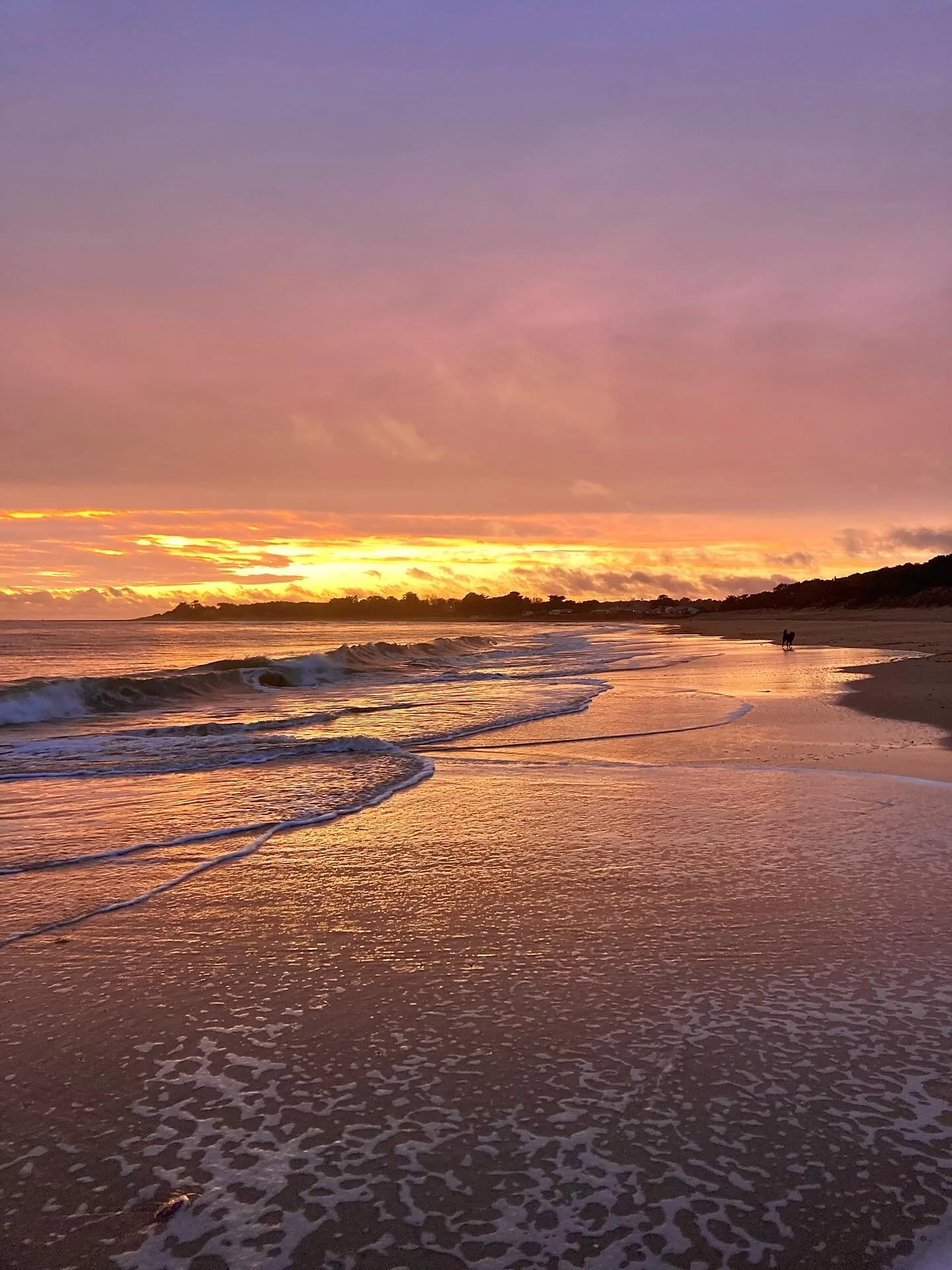 🌈 Apprendre à ne rien faire, à observer la beauté autour de soi, à vivre l’émerveillement de la simplicité.
Redécouvrir la véritable solitude qui apaise, guérit, ancre dans l&rsqu