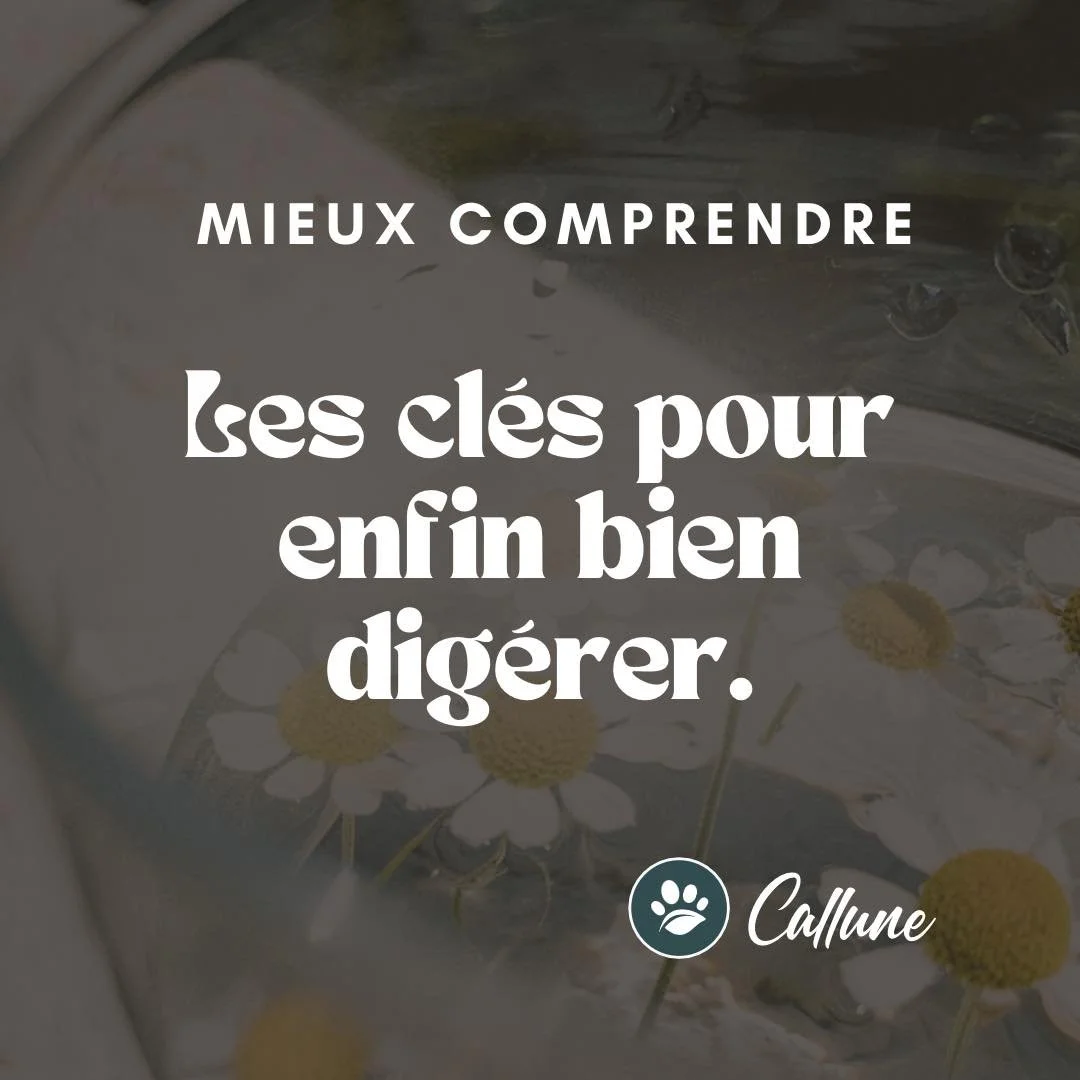 🌿 Mieux comprendre : les clés pour enfin bien digérer.
Tu en as marre d’enchaîner les ballonnements, les douleurs intestinales, les remontées acides, les gaz, les soucis de transit, les écœurements, les