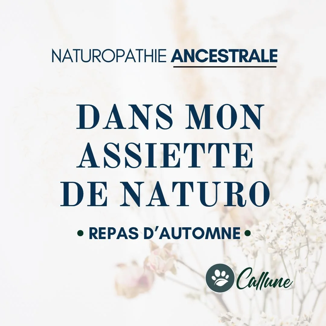🍂 Une journ&eacute;e dans mon assiette de naturo - repas d&rsquo;automne.

🌻 Pour vous aider &agrave; mieux comprendre mon approche et pour des id&eacute;es de repas, voici un exemple de ce que je peux consommer dans ma journ&eacute;e pour que mon 
