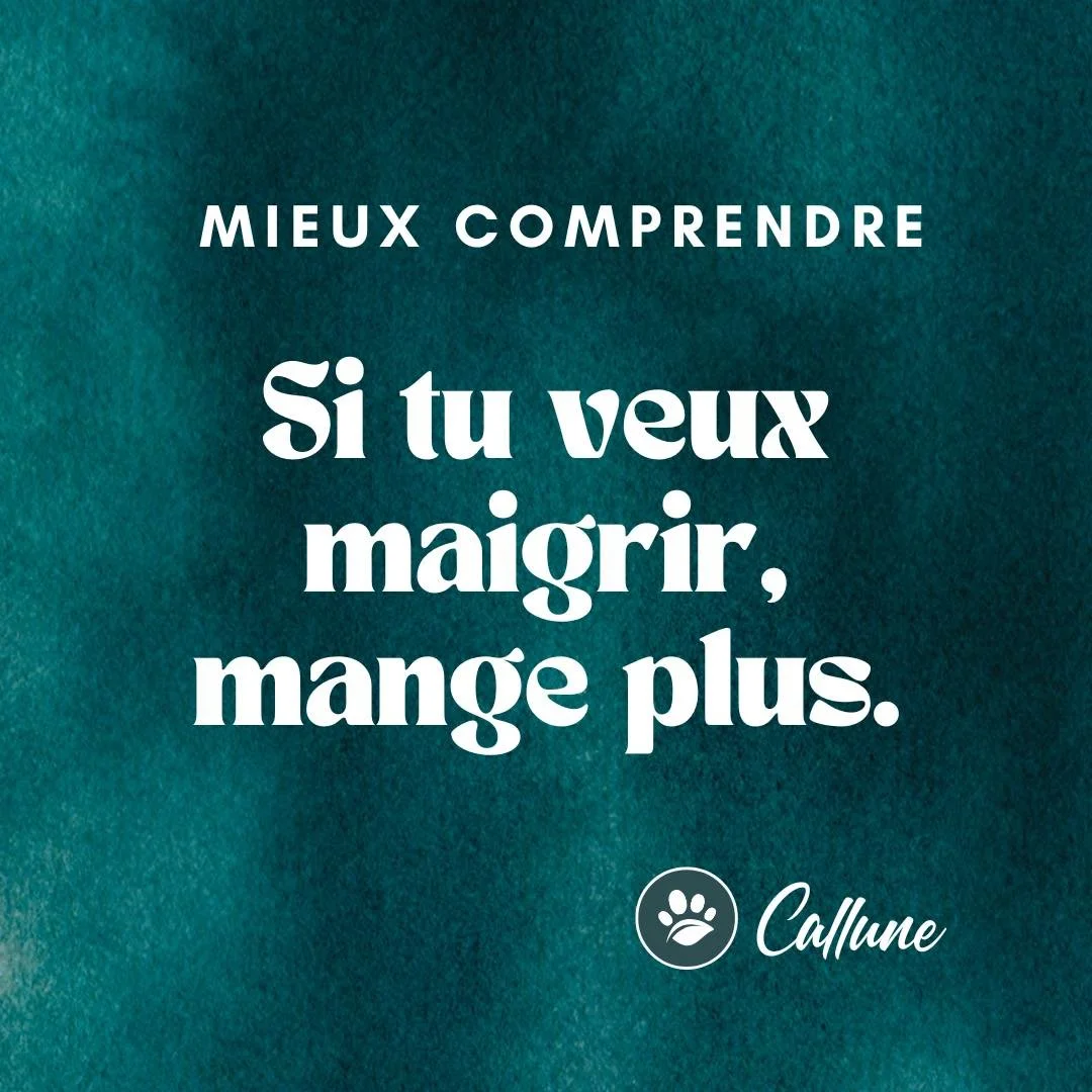 🌞 Mieux comprendre : Si tu veux maigrir, mange plus.

Non, ton corps ne cherche pas &agrave; te cr&eacute;er des probl&egrave;mes en prenant du poids.
Non, ton corps ne te d&eacute;teste pas.
Non, ton corps ne te veut pas du mal.

Car ton corps cher