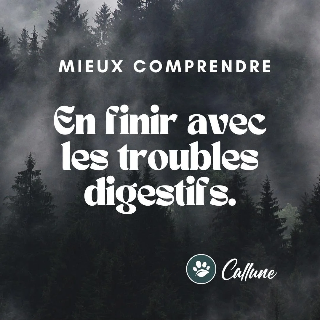 🌿 Mieux comprendre : en finir avec les troubles digestifs.

Pour avoir v&eacute;cu plus de 10 ans avec des troubles digestifs intergalactiques et des douleurs intestinales qui me pliaient en deux apr&egrave;s 3 bouch&eacute;es de lentilles, je sais 