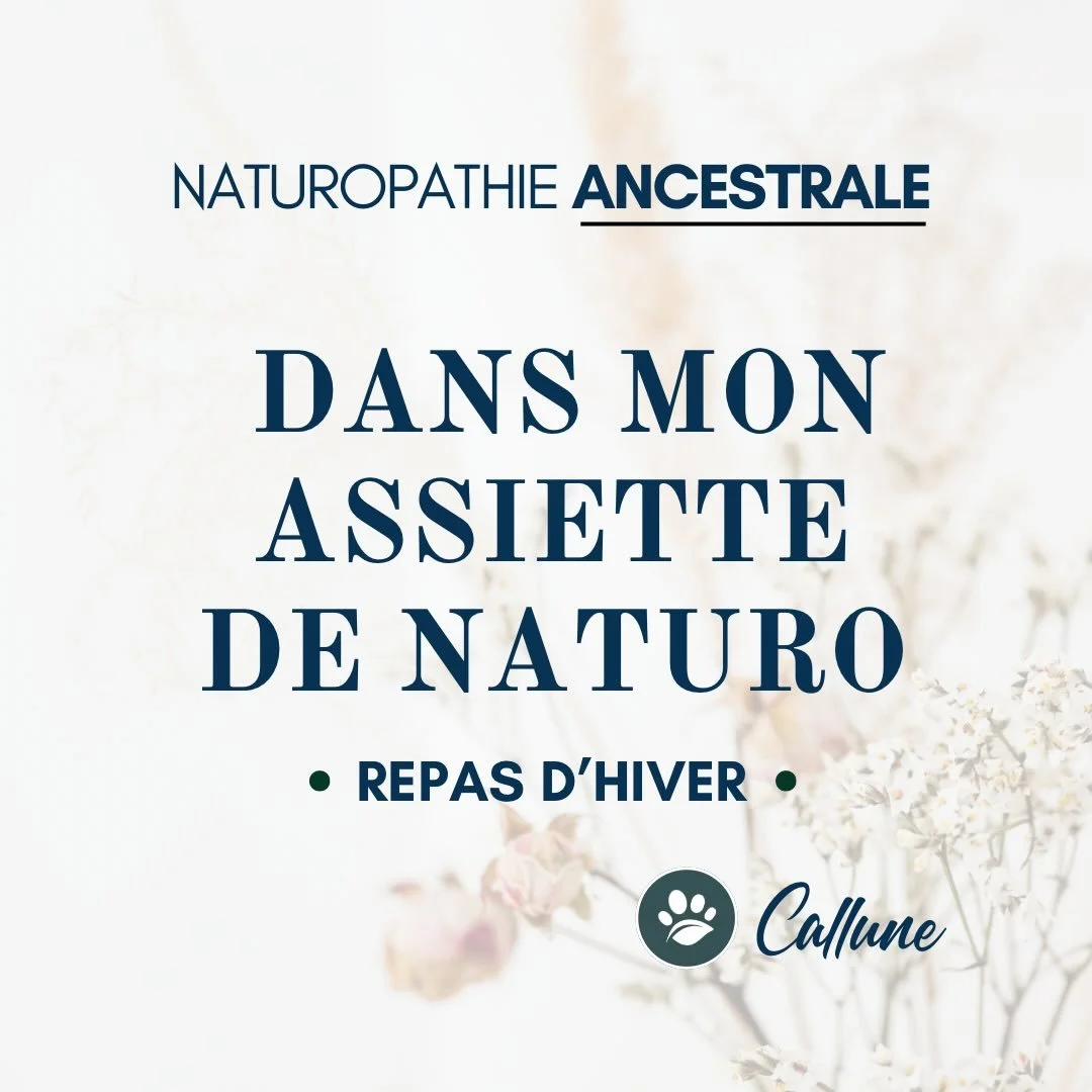 ❄️ Une journ&eacute;e dans mon assiette de naturo - repas d&rsquo;hiver.

Voici un nouvel exemple de mes repas quotidiens.
Des choses simples &agrave; pr&eacute;parer, qui permettent d&rsquo;avoir plusieurs repas d&rsquo;affil&eacute; dans certains c